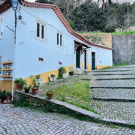הוילה טומאר Pe Do Castelo Casinha - Pet Friendly & Garage מראה חיצוני תמונה