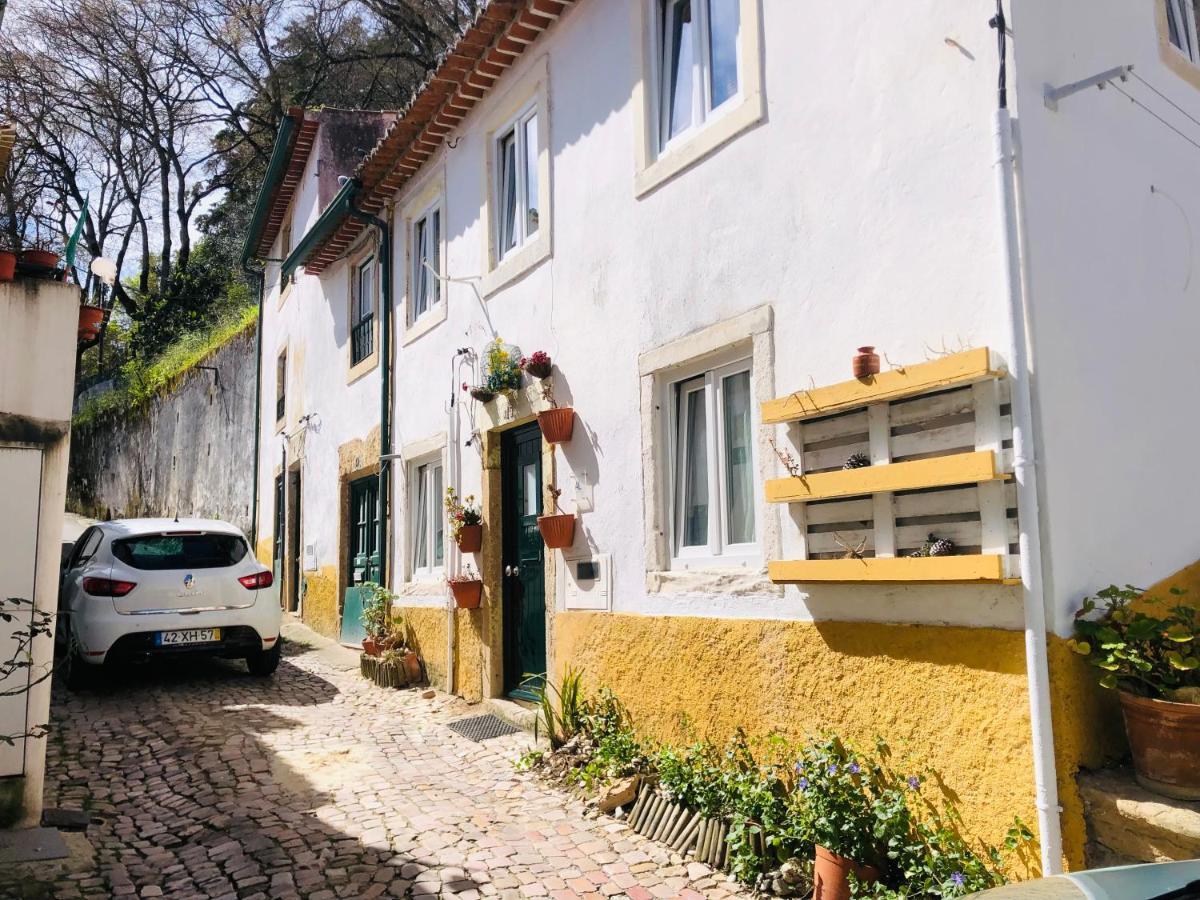 הוילה טומאר Pe Do Castelo Casinha - Pet Friendly & Garage מראה חיצוני תמונה