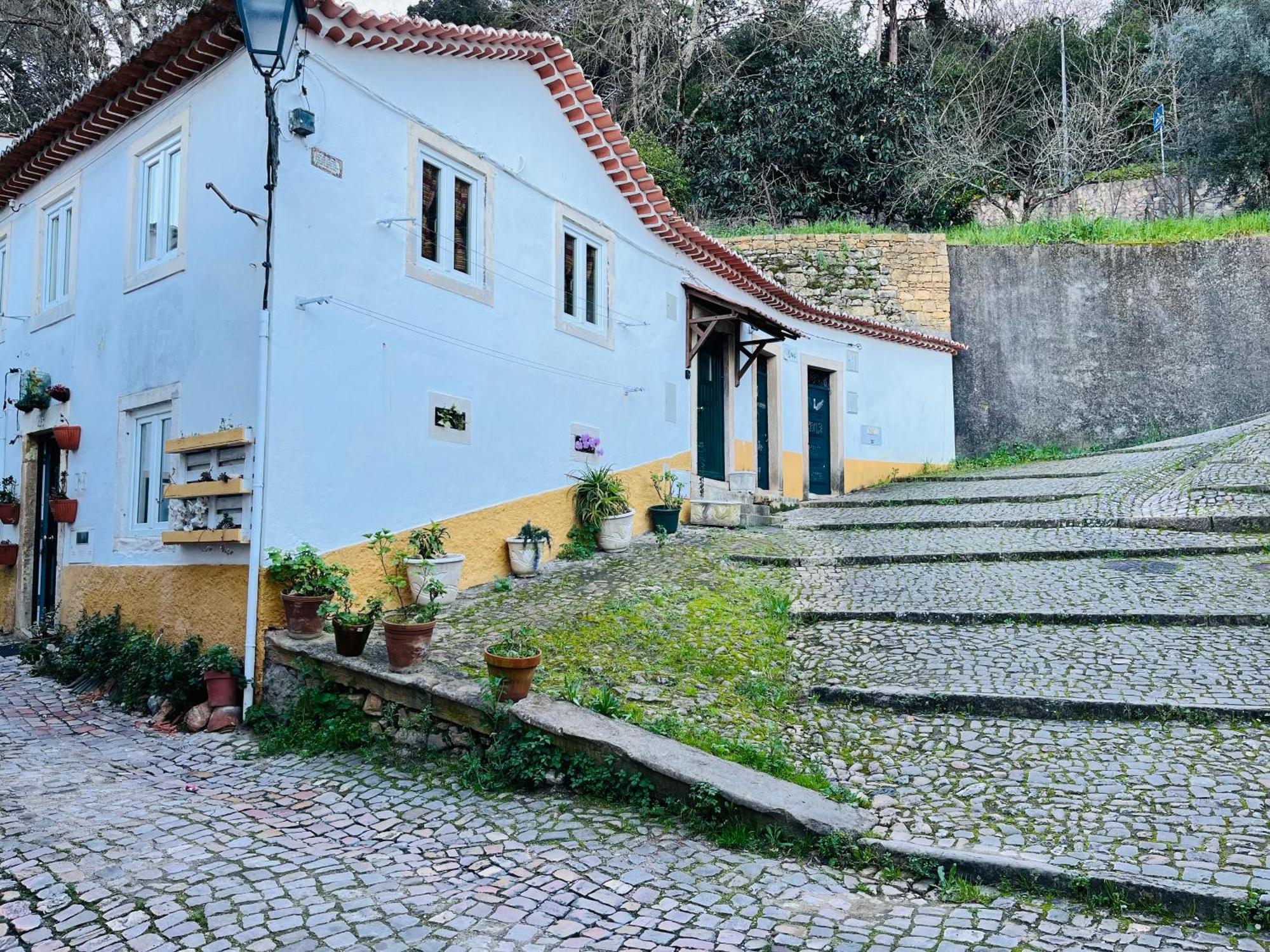 הוילה טומאר Pe Do Castelo Casinha - Pet Friendly & Garage מראה חיצוני תמונה